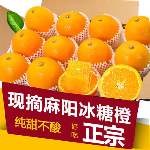 高山脐橙新鲜橙子应当季孕妇水果正宗脐甜酸橙现摘果冻甜酸橙整箱