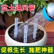 新款 盆土通风管透气管防烂根神器盆土透气花盆底部加长花卉施肥管