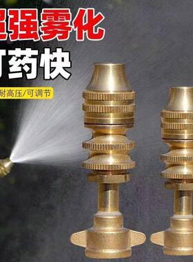 可调雾化喷头耐用电动打药机