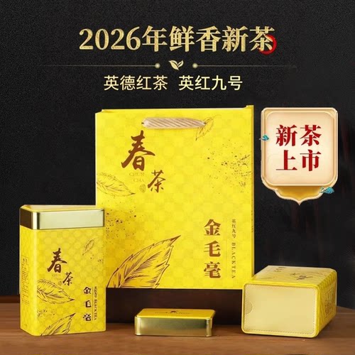 26年新茶英红九号老树金毛豪春茶