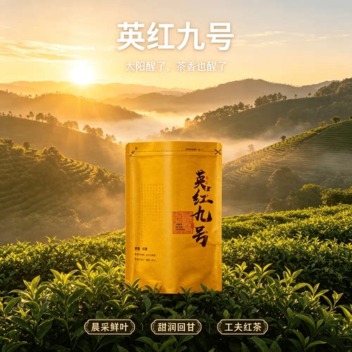 高山老树核心一级产区高山英德红茶英红九号茶叶自己喝浓香型250g