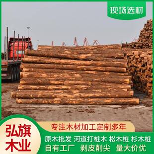 厂家柳杉原木杉木桩杆工地河道防汛围岸打桩木剥皮削尖松木