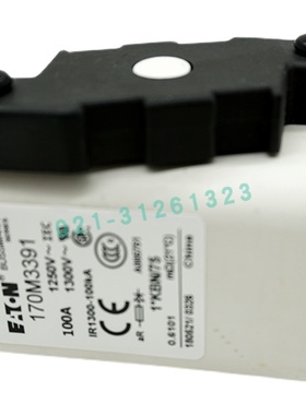 巴斯曼快速熔断器170M4317 4318 4319 4320 4321 4322 4323 4324