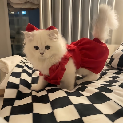 猫猫新年衣服银渐层新年战袍宠物猫咪红衣服裙子过年元旦春节2025