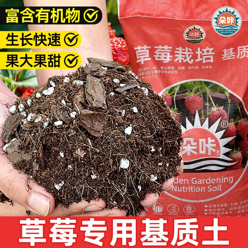 草莓专用营养土盆栽种植土草莓基质土泥土育苗土阳台肥料多肉蔬菜