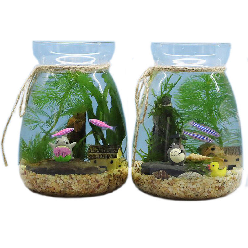创意生态鱼瓶微景观水族箱生态缸斗鱼缸免换水冷水小型迷你鱼缸