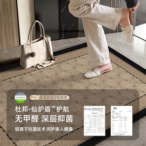 高级进门地垫入户门垫新款家用门口防滑客厅地毯防水蹭脚垫可裁剪