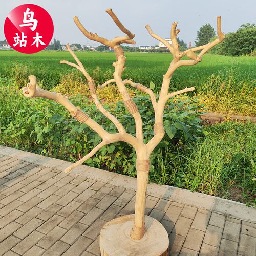 原木干树枝树杈树干带底托摆件干树枝鸟架鹦鹉鸟站杆鸟站架树站木