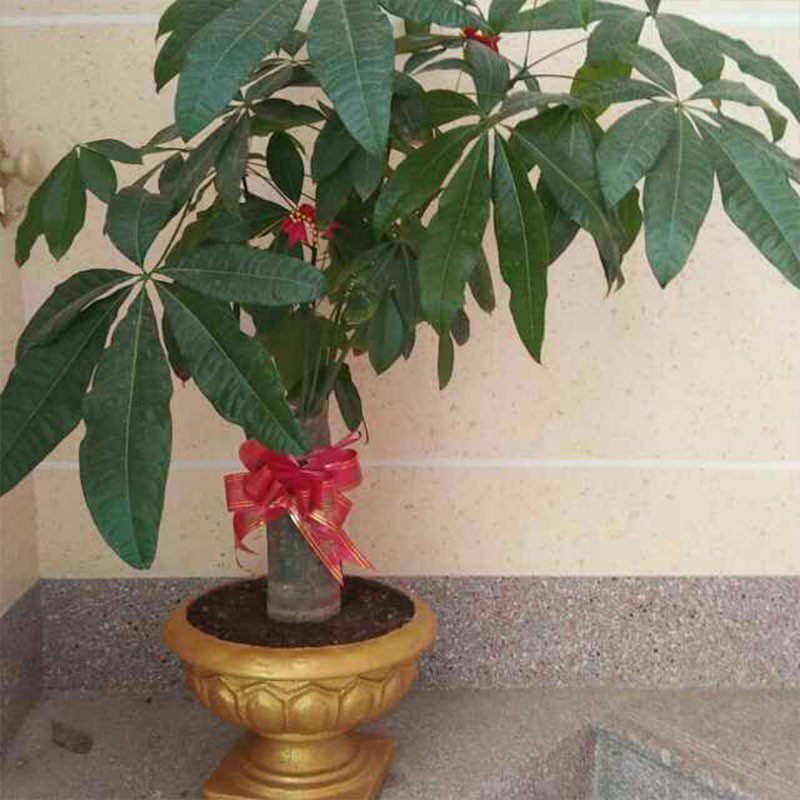 欧式花盆模具高脚圆形水泥模子罗马柱柱帽柱头线建筑外墙构件方形