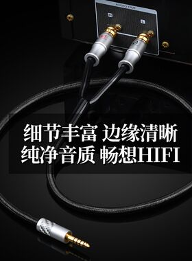 发烧4.4mm转双莲花纯铜4.4平衡转2RCA音频线pha2a wm1a 1z zx300a
