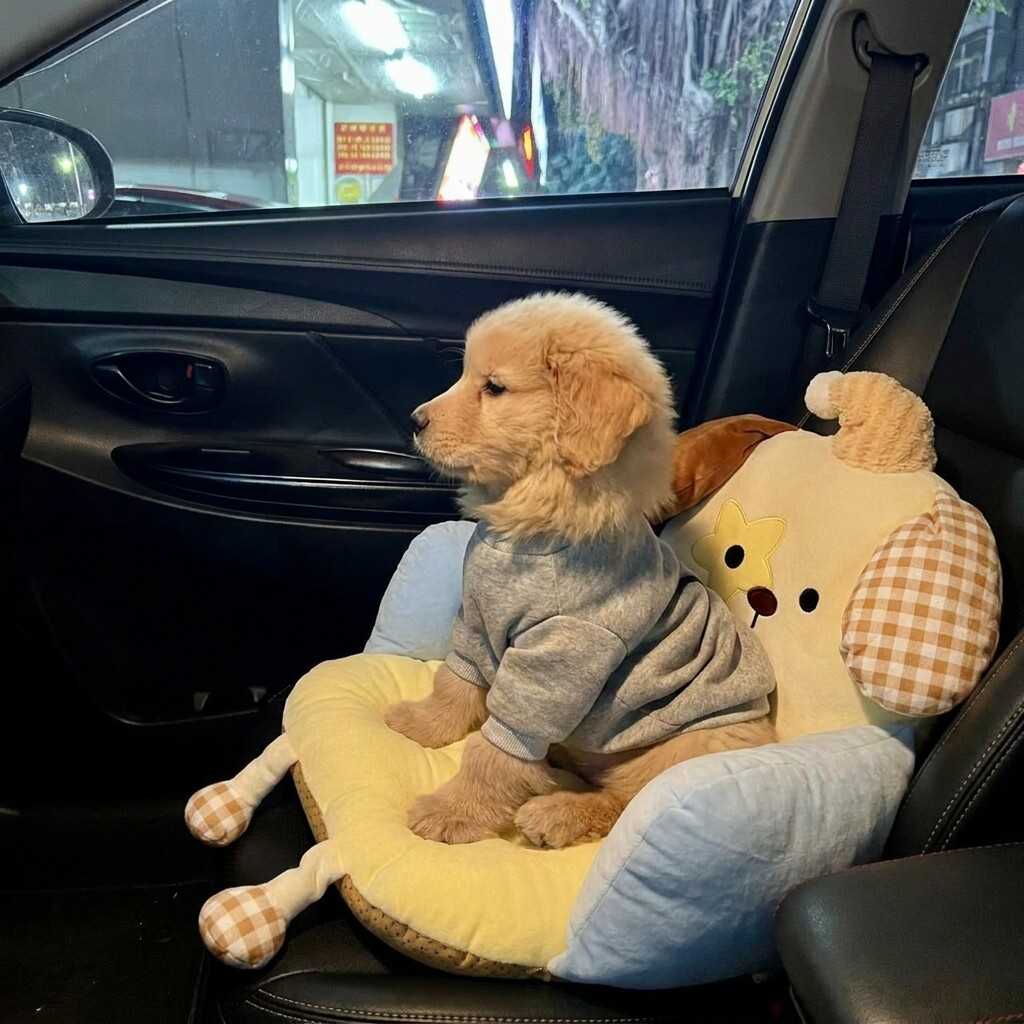 狗窝四季通用防掉毛防脏车载座垫狗睡垫中小型犬安全感猫咪睡窝