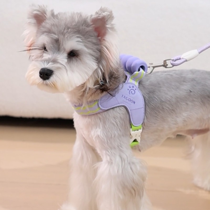 狗狗牵引绳中小型犬雪纳瑞外出专用高颜值Y型马鞍式胸背带遛狗绳