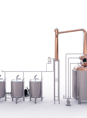 杭州厂家供应5000L全套酿酒设备整套 酒吧酒庄铜蒸馏设备铜蒸馏系