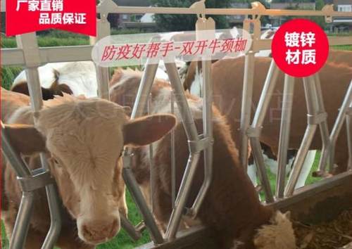 极速。双开口大牛颈m枷自锁式牛颈夹配件养牛设备大角牛颈夹牧场