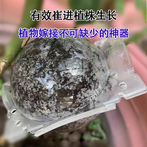 极速高压繁殖球植物高压繁殖盒果树生根嫁接花卉移植X繁育球花木