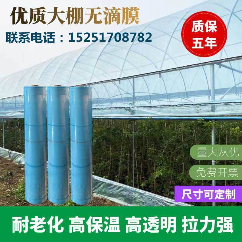 极速进口抗老化无滴膜整卷大v棚塑料膜保温透光农用薄膜瓜果葡萄