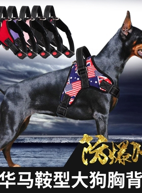 极速Dog leash golden chest harness dog leash husky colZlar d