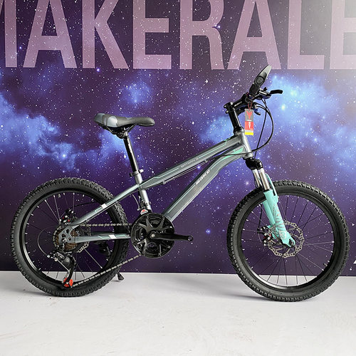 极速自行a车登山车2k0寸双碟煞减震21速车男女中小学生脚踏单车