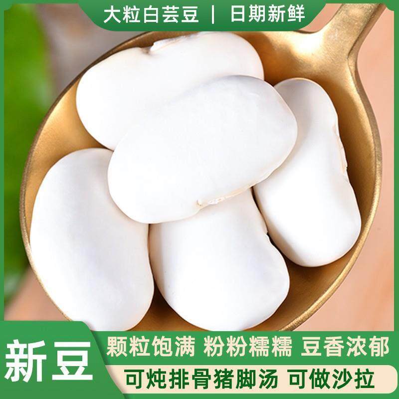 云南大理农家特大白芸豆500g干 干货新鲜腰豆煲汤专用云豆扁豆大