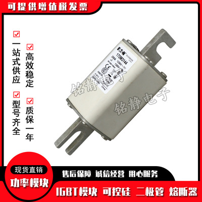 170M3068 170M3069 170M3070 170M3071 170M3072熔断器170M3073