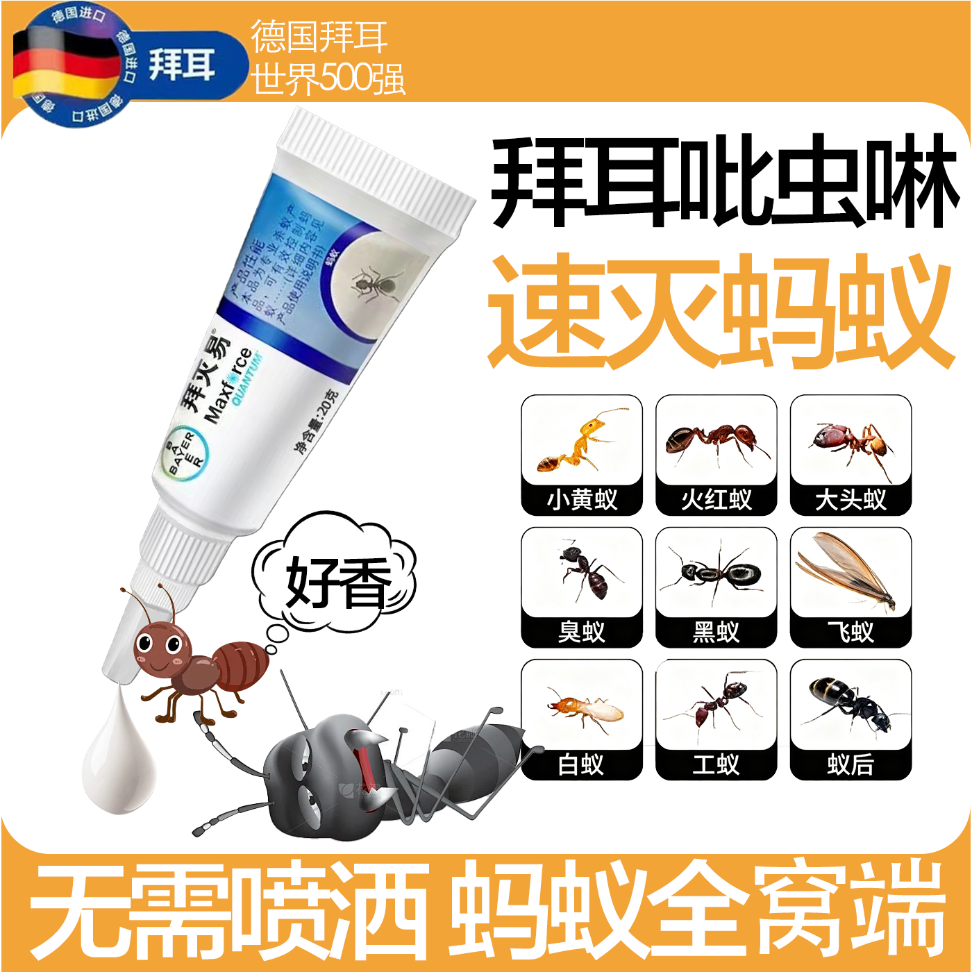 拜灭易德国拜耳蚂蚁药家用无毒
