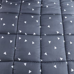 新品Winter Supier Warm Flannel Comforter Duvet Quilt Blanket