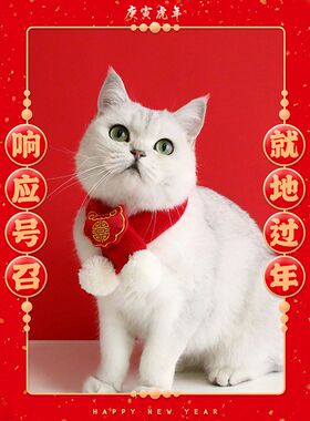 极速猫咪围巾宠i物项圈醒狮围脖小狗衣服过年小猫可爱装饰猫猫狗