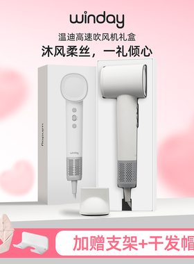 winday温迪高速吹风机家用负离子护发速干大风力电吹风筒生日礼物