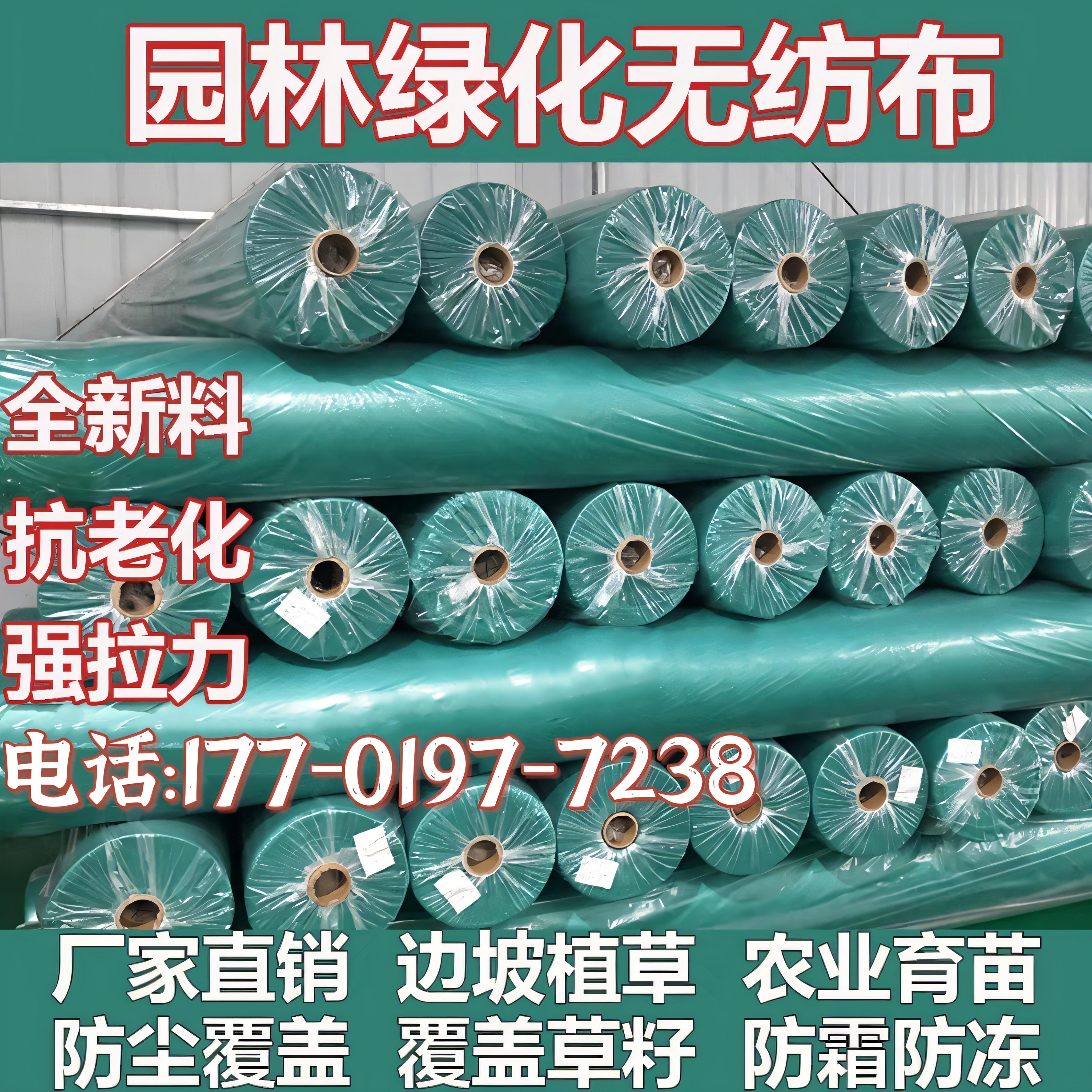 绿化育苗草坪植草覆盖无纺布厂家