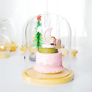 直销发光创意永生花玻璃罩微景观摆件diy生日节日礼物