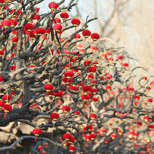 小红灯笼挂饰2025新款新年树上结婚元旦布置装饰挂件过年院子植绒