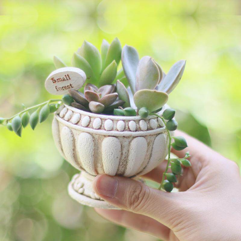 如果创意多肉花盆仿多材质园艺微景观办公室盆栽搭配摆件