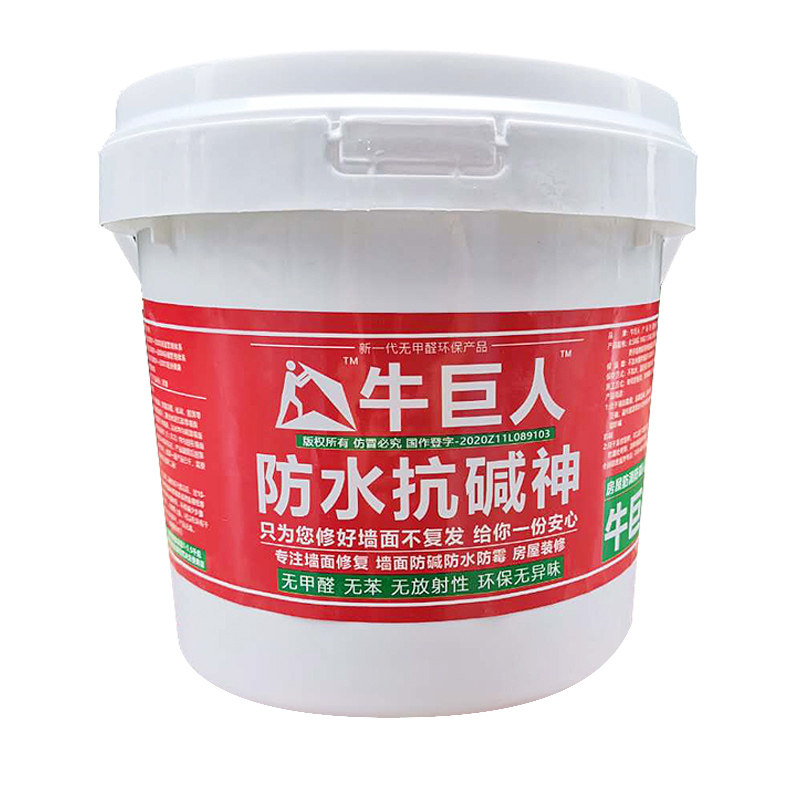 墙面防水防霉防碱j墙壁修复返潮泛碱长白毛处理补墙膏腻子墙碱渗