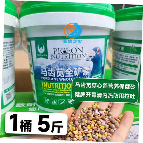 新鸽子耐德马齿苋粮素鸟用信鸽欧专用保健砂鸽u子V保健沙鸽全矿钙