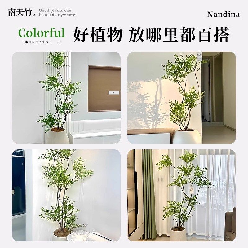 造型南天竹客厅沙发边盆栽大型绿植物办公室内旺宅真花大号禄植
