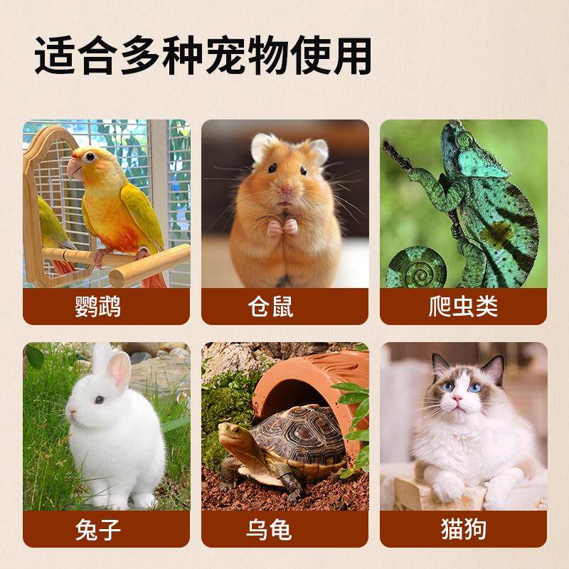 鹦鹉取暖灯宠物冬季恒温加热器兔芦丁鸡玄凤幼鸟笼通用防烫陶瓷灯