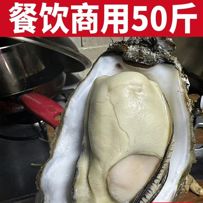 商用50斤鲜乳山生蚝海蛎子牡蛎餐饮烧烤店摆摊高压锅生蚝