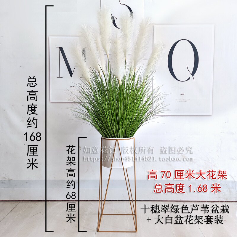 仿真芦苇草大型盆栽狗尾巴假花北欧风客厅电视柜落地装饰摆件绿植