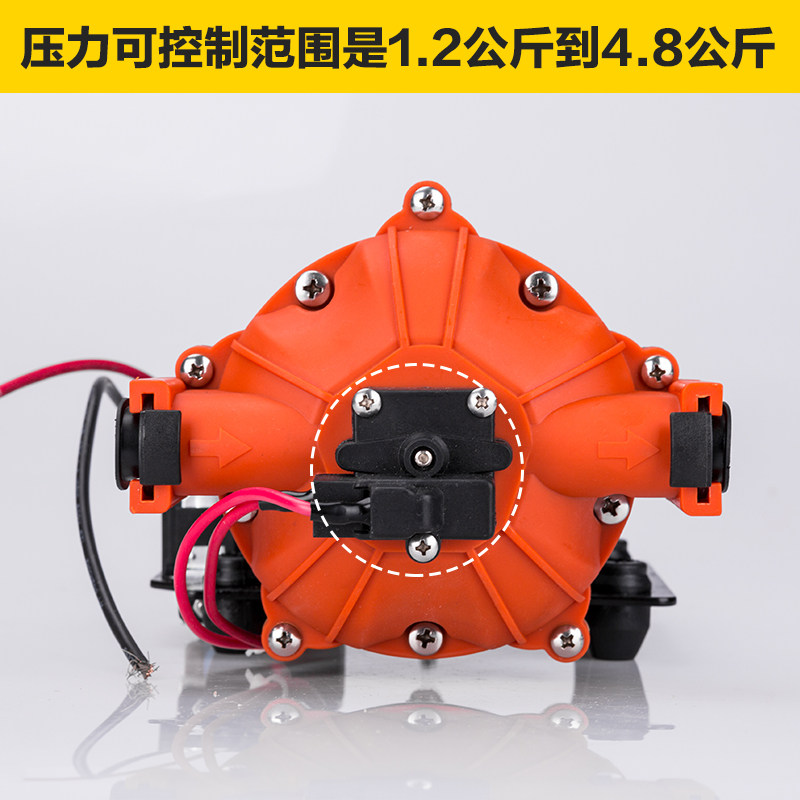 SFDP1-070-060-53大功率隔膜泵房车泵喷雾器水泵增压冲洗泵