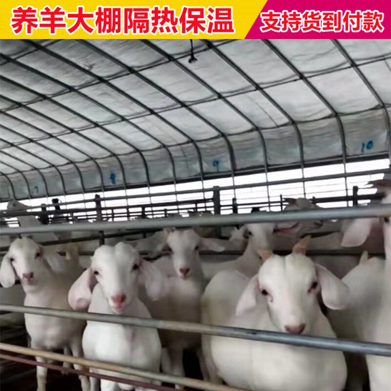 养猪大棚全套大棚钢管骨架搭建牛棚架子养鸡大鹏养殖鸡舍养羊大棚