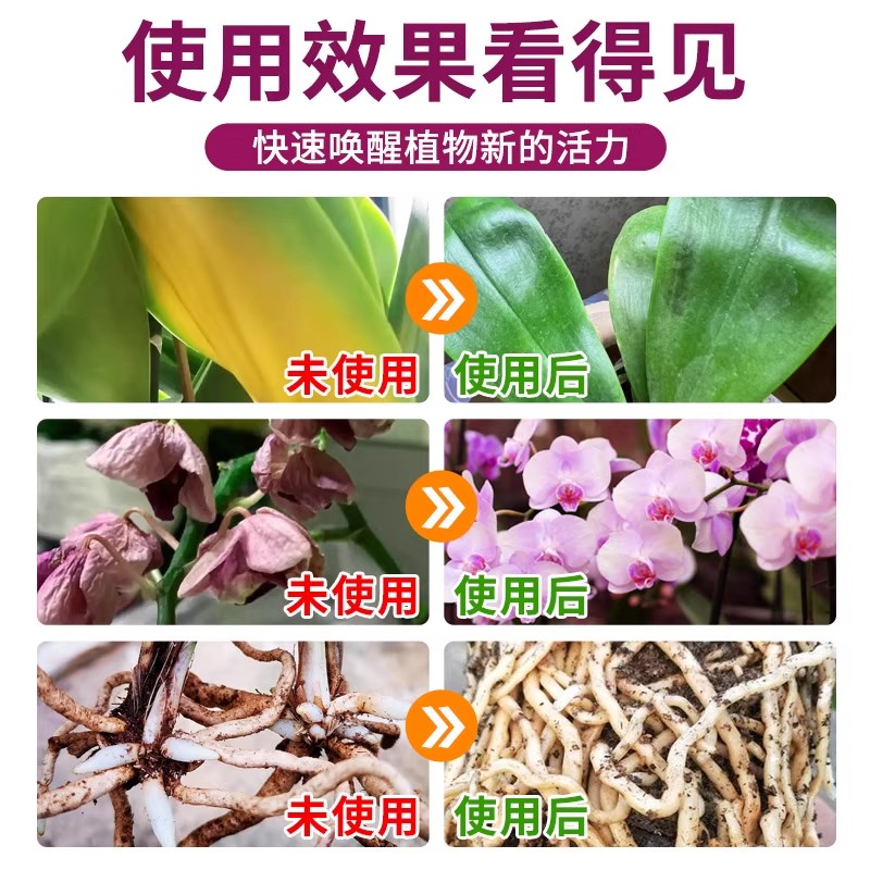 免稀释兰花专用营养液肥兰科植物蝴蝶兰君子兰墨兰促开花有机肥料