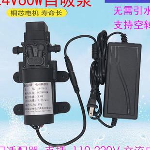 24V微型增压泵小型60W220V自吸抽水高压泵净水机热水器直流抽水机