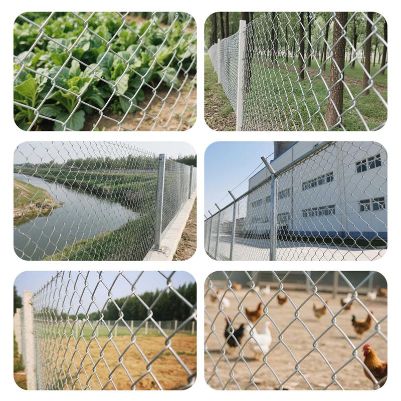 热镀锌钢丝网防锈铁丝网勾花网养鸡菜园养殖围栏网格护栏防护家用