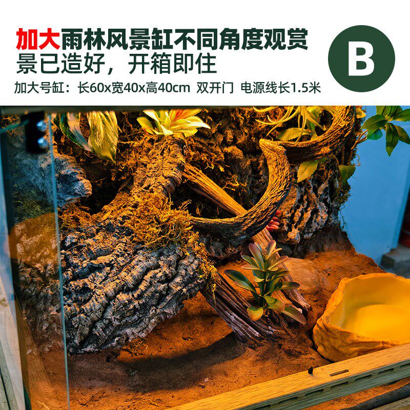 爬宠养树蛙鬃狮蜥蛇角蛙乌龟蛇守宫专用生态缸热带雨林造景养殖箱