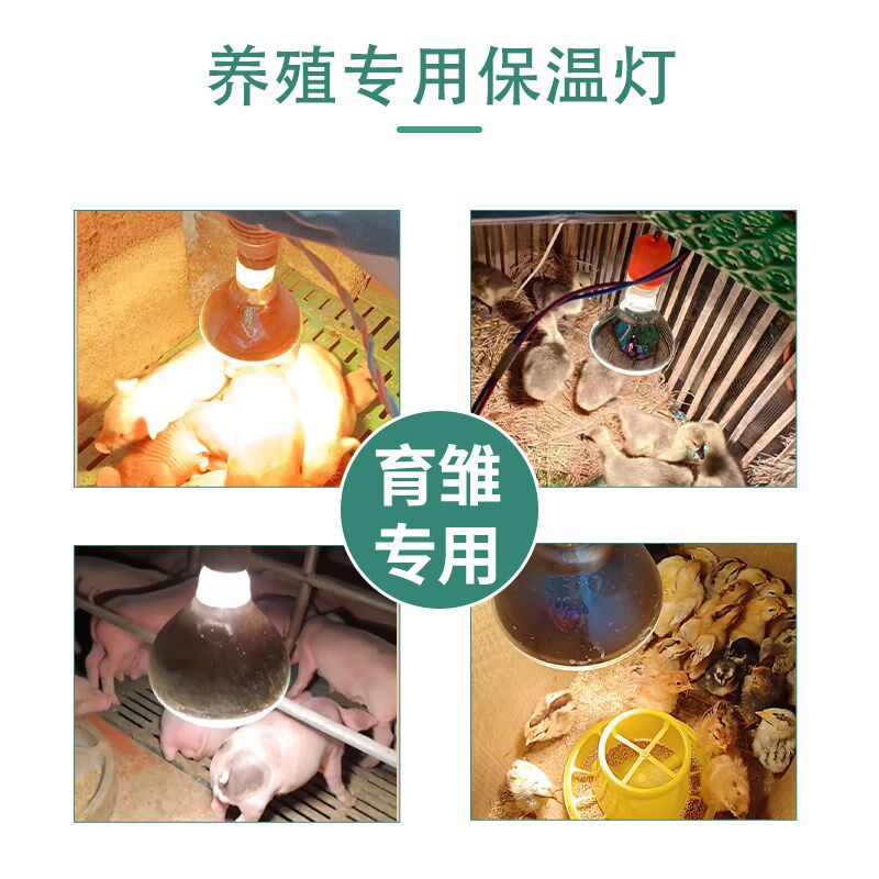 养殖场专用保温灯小猪取暖灯泡猪场加热保暖灯烤灯小鸡育雏保温灯