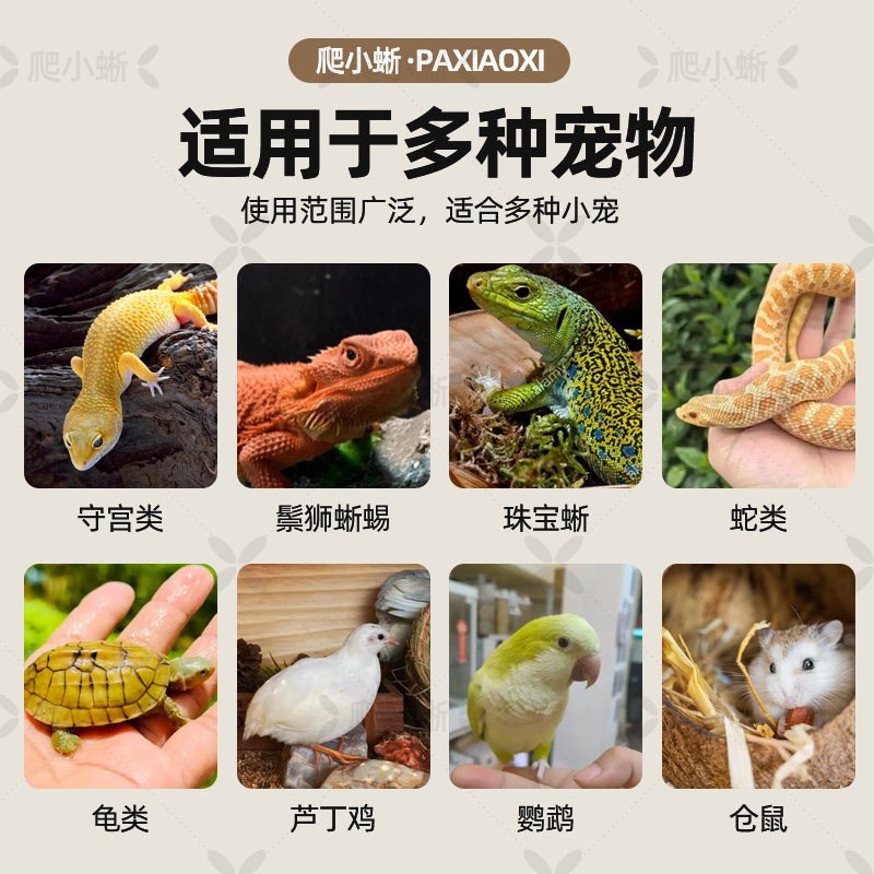 PVC爬宠恒温箱饲养智能温控器宠物蛇乌龟豹纹守宫鬃狮蜥蜴保温箱