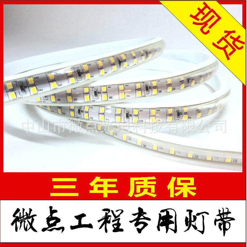 110V/220V 2835 /3030/3038双排灯包胶防水led灯带定制电压颜色