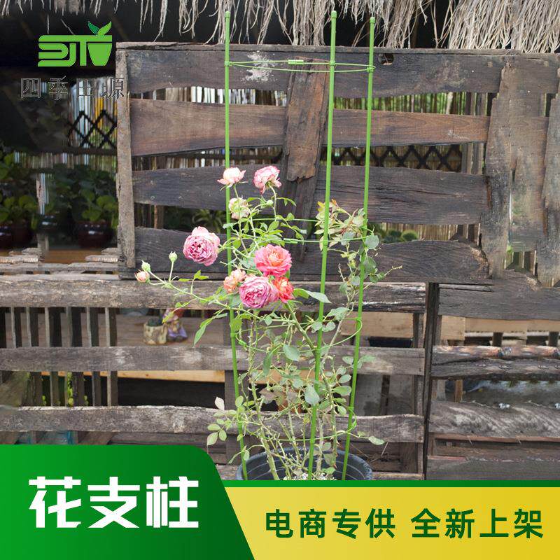 diy包塑钢管花支柱植物爬藤花架 家庭园艺植物架固定盆栽爬藤架