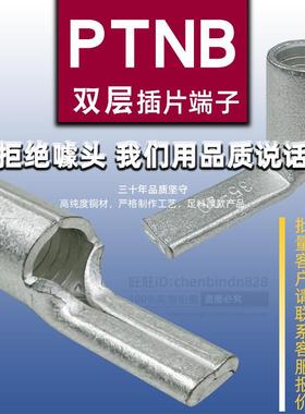 扁形裸端子PTNB10-12/16-13/25-15/35-20/50-20针形紫铜接线端子