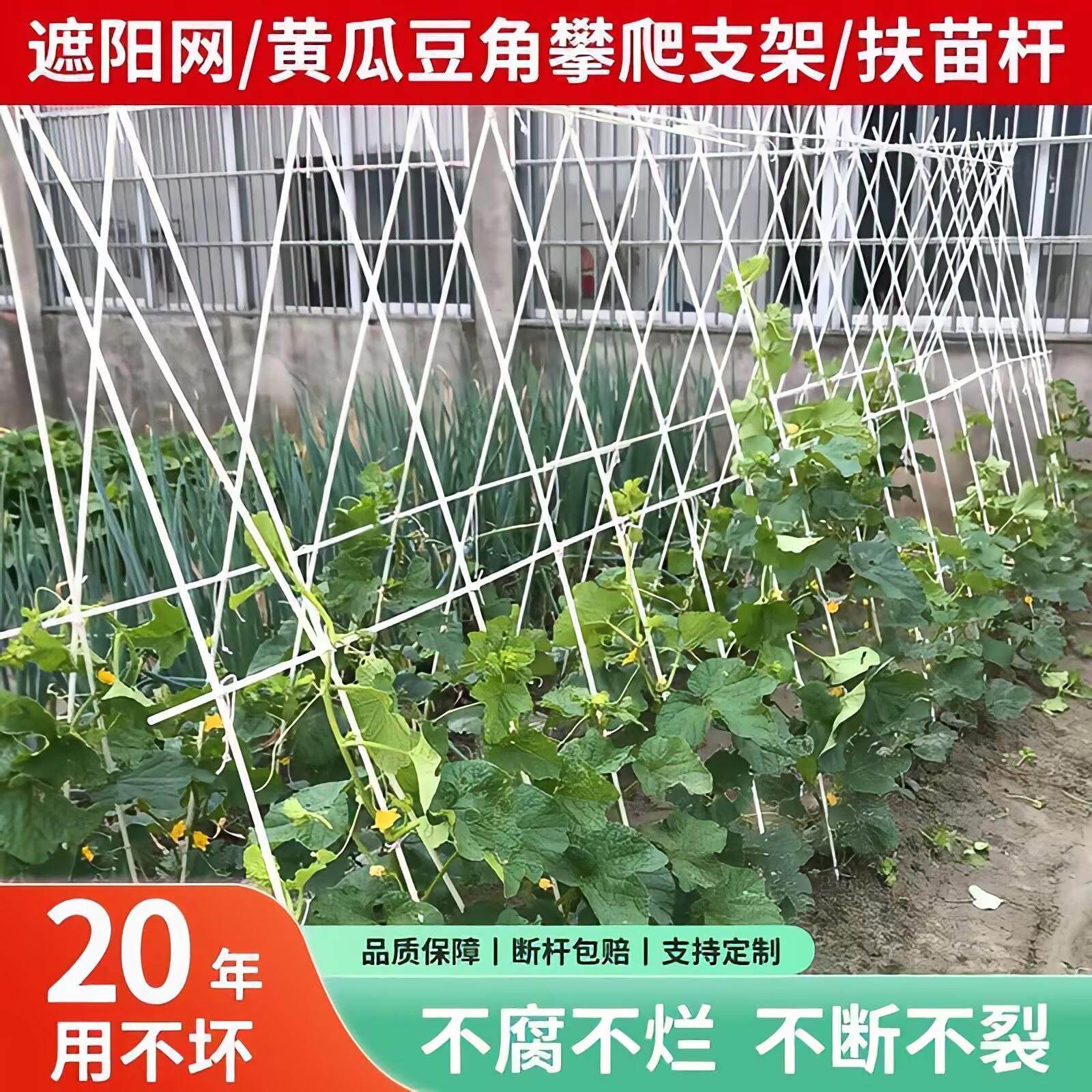 黄瓜架杆种植箱花架壁挂葡萄玻璃钢纤维杆竹子豆角网格铁线莲阳台